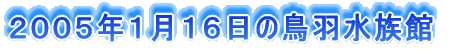 2005年1月16日の鳥羽水族館